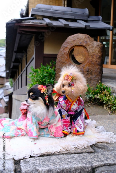 Obraz dog in the garden