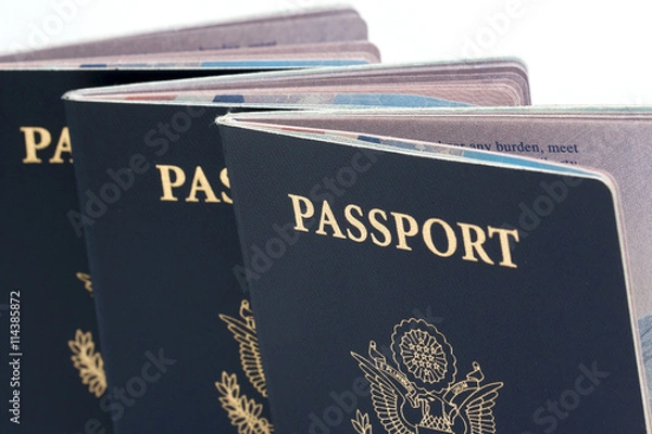 Obraz United States Passport