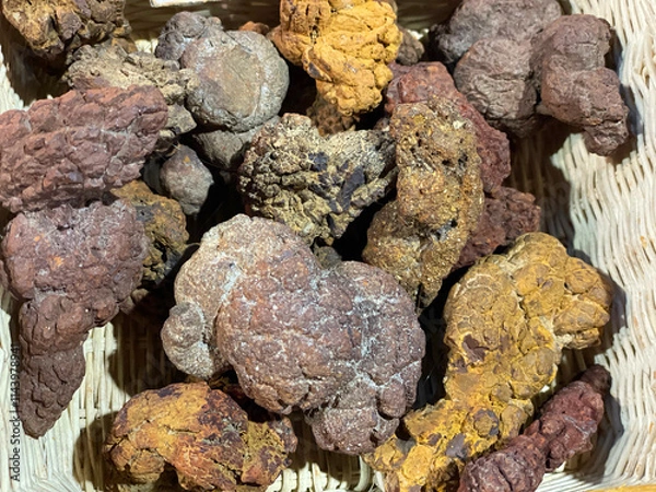 Fototapeta Fossilized Dinosaur poop