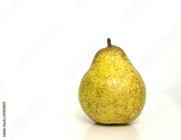 Obraz Lonely Pear