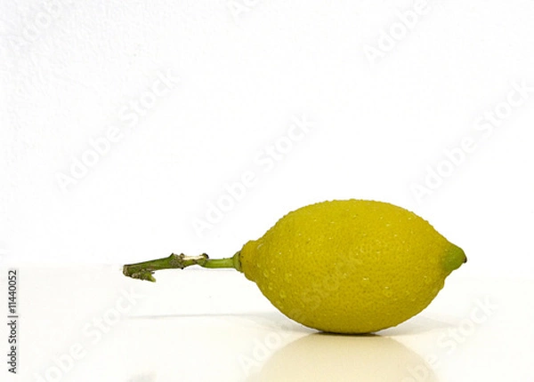 Obraz Lemon