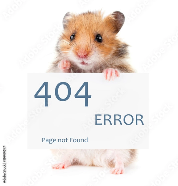 Obraz Little hamster keeps paws white poster 404 error
