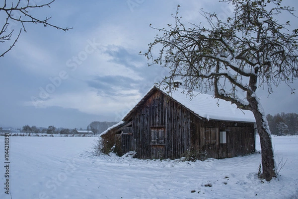 Fototapeta Einsame Hütte im Schnee