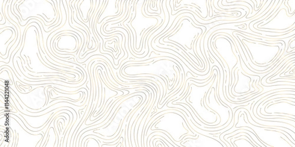 Obraz Vector gold line wood texture illustration, organic shape wave pattern, abstract luxury tree graphic, trunk circles, topography map background