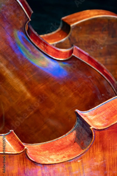 Obraz Cello closeup on dark background