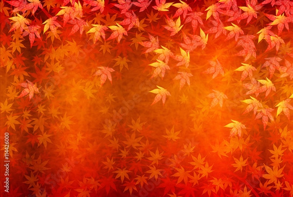 Obraz 紅葉　秋　風景　背景