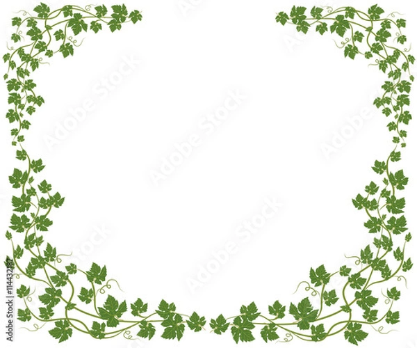 Obraz frame with vine leaves