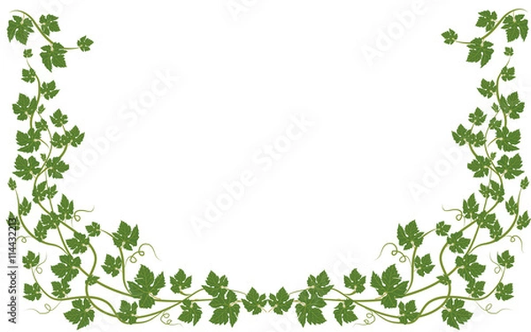 Obraz frame with vine leaves