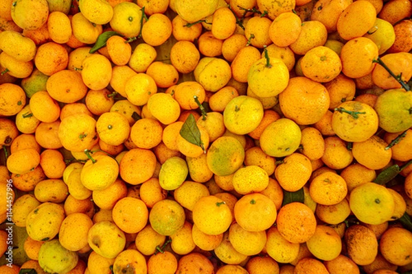 Fototapeta Orange citrus fruits in a fruit shop basket. Focus on fruit, noisy, exposure, similar others