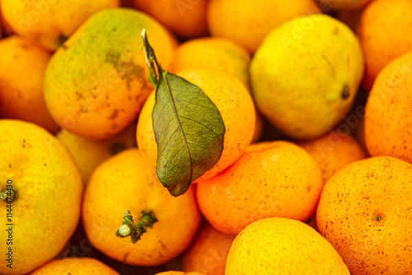 Fototapeta Orange citrus fruits in a fruit shop basket. Focus on fruit, noisy, exposure, similar others