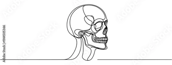 Obraz Continuous one line human anatomical skull, vector illustration.