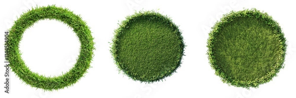 Fototapeta Set of A circle of lush green grass in the middle of a sunlit park on transparent png background