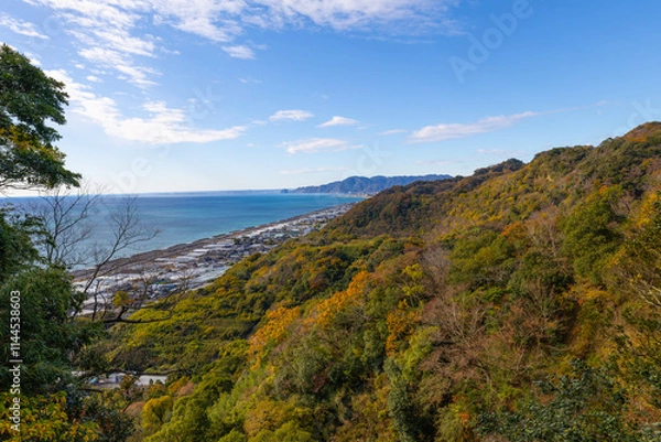 Fototapeta 久能山からの海