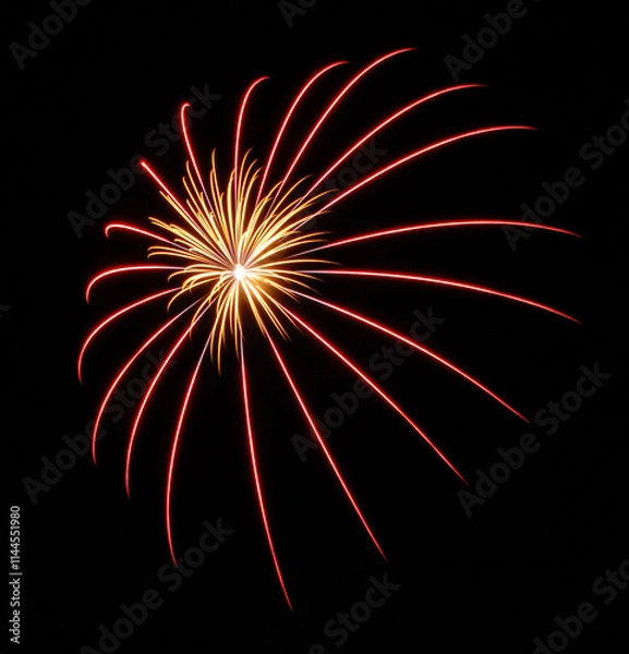 Fototapeta Aerial Shell Red and gold Single Firework Burst