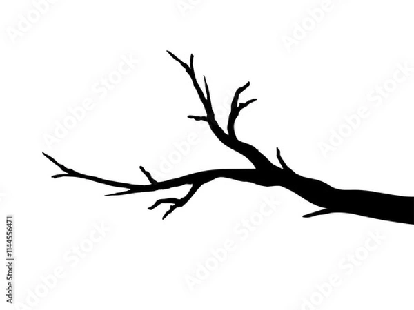 Fototapeta Simple tree branches isolated vector illustration on white background.