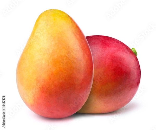 Fototapeta Dwa całe mango izolowane na białym tle, ze ścieżką przycinania