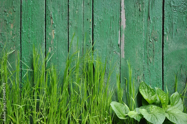 Fototapeta Grass on a background of an old fence