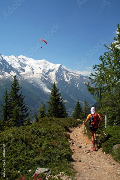 Obraz Droit vers le Mont-Blanc