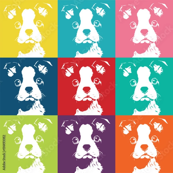 Obraz Boston Terrior Color Pattern