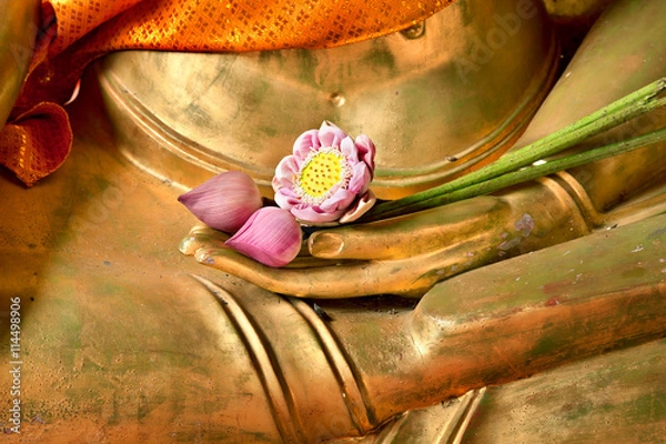 Fototapeta Lotus in hand image of buddha