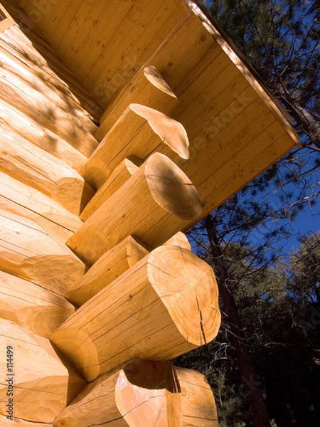 Obraz mountain log home