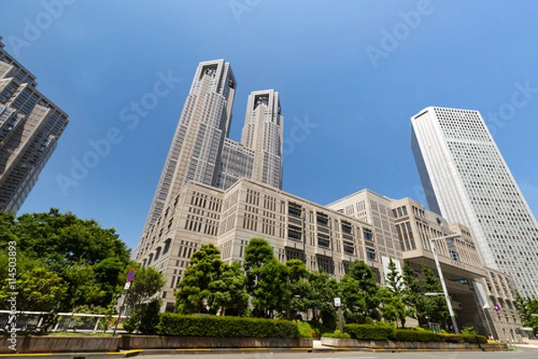 Fototapeta 東京都庁舎
