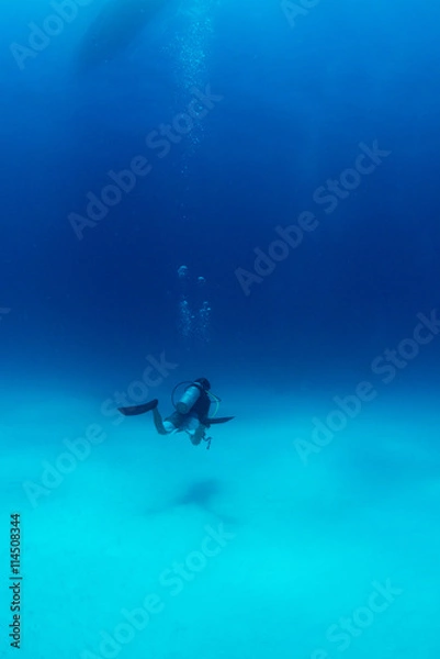 Obraz 砂地を行くダイバー