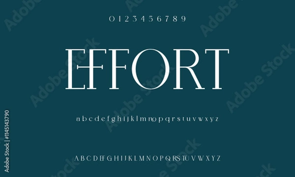 Fototapeta Classic serif font alphabet letters fancy gentle typographic design. Elegant typography. Retro slick serif letter set for wedding card, restaurant menu, headline, lettering.