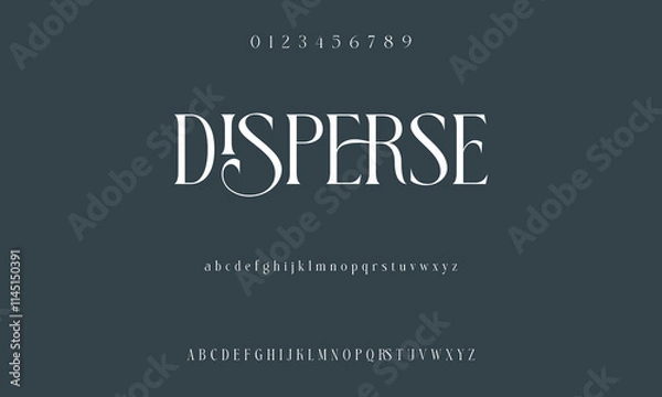 Fototapeta Luxury serif font in modern style. Elegant wedding alphabet letters font and number. Typography Luxury classic lettering serif fonts decorative vintage retro logo
