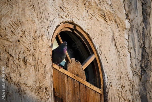 Obraz A pigeon perched on the window of an old historical house
