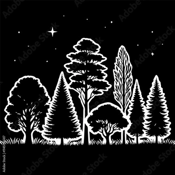 Fototapeta The beautiful silhouette of trees is prominently featured against a starry night sky background