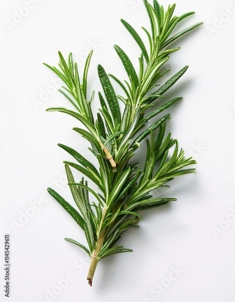 Fototapeta Fresh rosemary sprig on white background. Aromatic herb, culinary ingredient.