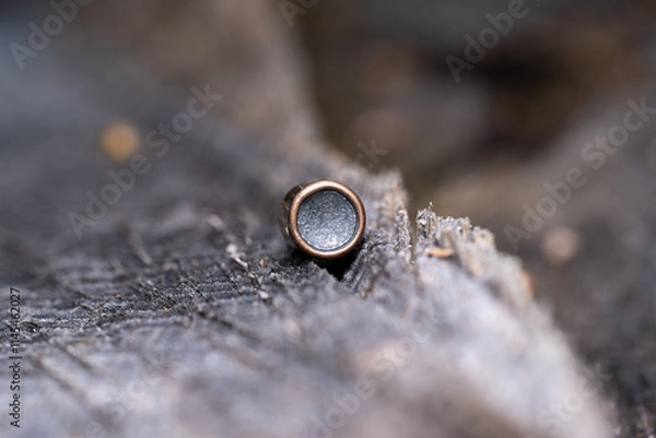 Obraz 9mm bullet