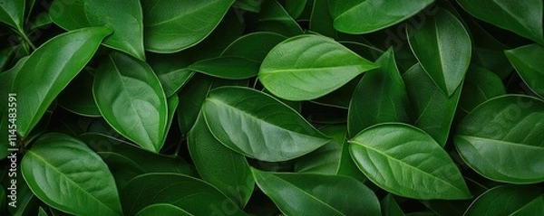 Fototapeta Micro foliage concept. Close-up view of vibrant green leaves, showcasing their intricate textures and patterns.