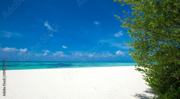 Obraz tropical beach in Maldives