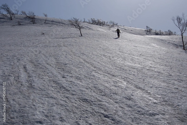 Fototapeta 春の雪原