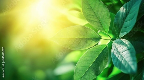Fototapeta Micro foliage idea. Bright green leaves illuminated by sunlight, showcasing nature's beauty and vitality.