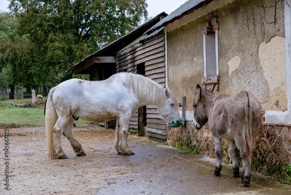 Obraz Dammarie les lys