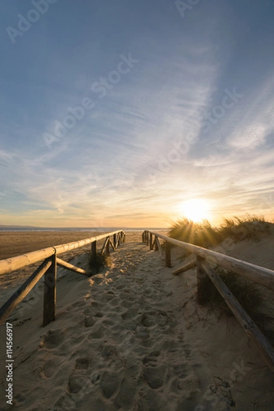 Fototapeta Path on the sand going to the ocean, Tarifa, Spain 