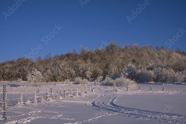 Obraz Winter, snow, nature.