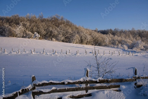 Obraz Winter, snow, nature.