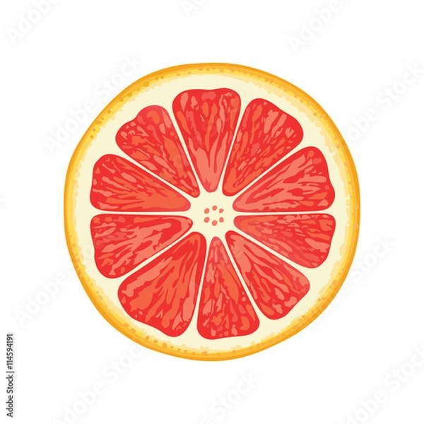 Obraz ilustracja wektorowa grejpfruta
