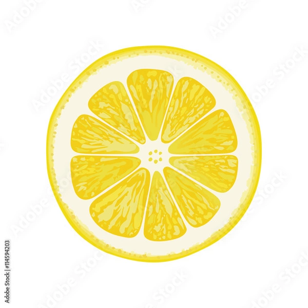 Obraz vector illustration of lemon