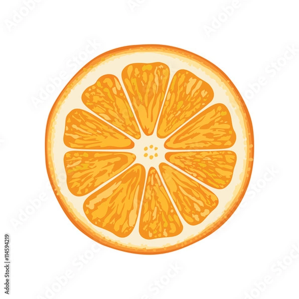 Obraz vector illustration of orange