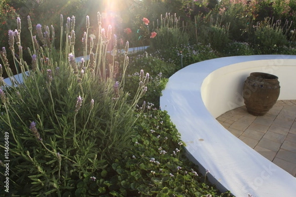 Obraz designed lavender garden with sunlight