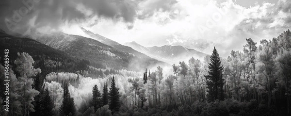 Obraz Fall Aspen Forest in Black and White Panoramic Mountain Landscape. Golden tree leaves of a fall aspen forest contrasted against a black and white panoramic landscape scene in Colorado 