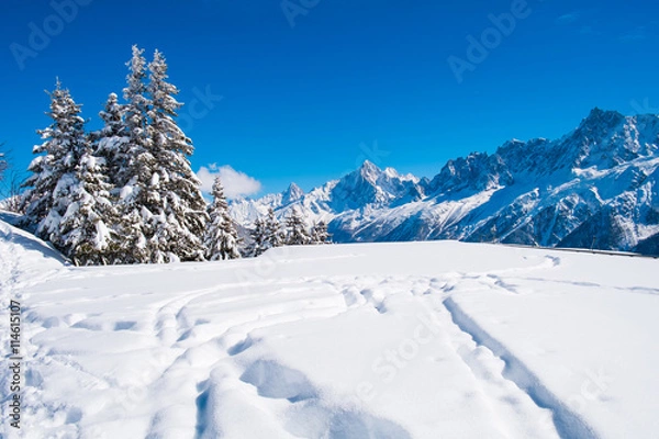 Obraz Mont Blanc winter