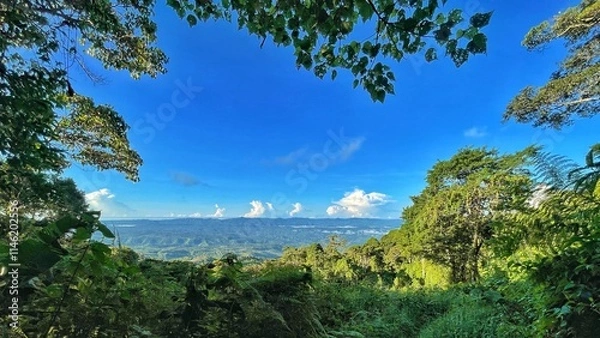 Fototapeta Beautiful central American jungle landscape, nestled in the picturesque Costarican Forest, is a wonderland for nature enthusiasts on Costa Rica. With pristine nature and stunning landscape views.