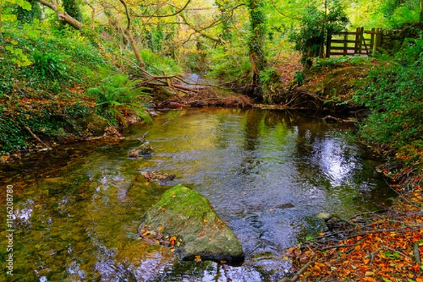 Fototapeta On the banks of Arfon Lleiniog, Anglesey, in autumn.