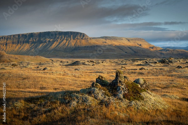 Obraz Golden Fields and Rocky Terrain in Icelandic Highlands